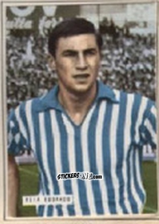 Figurina CANTAGALLO