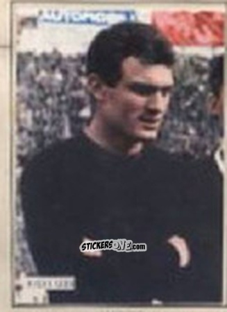 Figurina VIERI