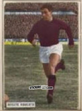 Figurina ROSATO