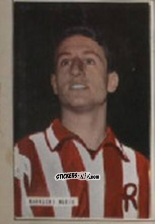 Figurina VINICIO