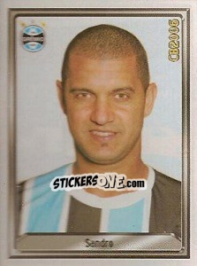 Cromo Sandro Gomes Da Luz - Campeonato Brasileiro 2006 n. 162 - Panini