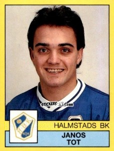 Cromo Janos Tot - Fotboll 91. Allsvenskan och Division 1 n. 116 - Panini