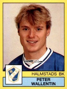 Cromo Peter Wallentin - Fotboll 91. Allsvenskan och Division 1 n. 120 - Panini