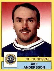 Figurina Åke Andersson - Fotboll 91. Allsvenskan och Division 1 n. 176 - Panini