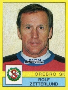 Figurina Rolf Zetterlund - Fotboll 91. Allsvenskan och Division 1 n. 196 - Panini