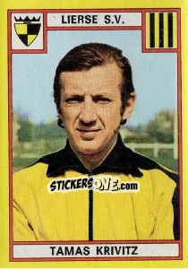 Cromo Tamas Krivitz - Football Belgium 1974-1975 n. 195 - Panini