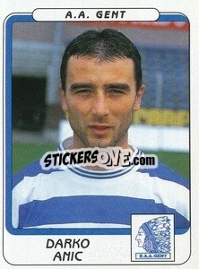 Cromo Darko Anic