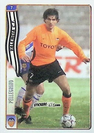 Cromo Pellegrino - Las Fichas De La Liga 2004-2005 n. 7 - Mundicromo