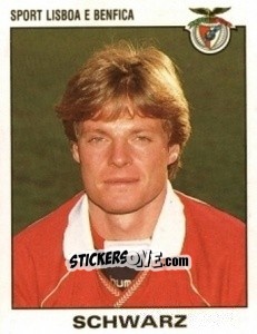 Figurina Schwarz - Futebol 1993-1994 n. 26 - Panini