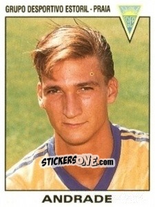 Cromo Andrade - Futebol 1993-1994 n. 238 - Panini