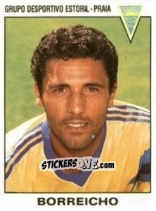 Cromo Borreicho - Futebol 1993-1994 n. 242 - Panini