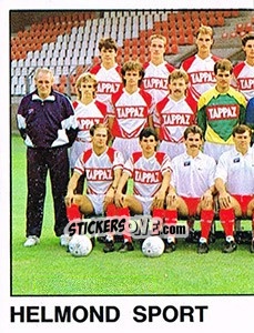 Sticker Team Helmond Sport - Voetbal 1988-1989 n. 317 - Panini