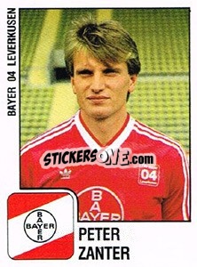 Sticker Peter Zanter - German Football Bundesliga 1987-1988 n. 187 - Panini