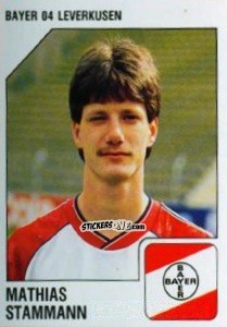 Cromo Mathias Stammann - German Football Bundesliga 1992-1993 n. 185 - Panini